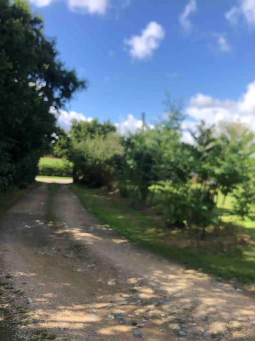 דירות Troguery Terrasse, Campagne Et Mer מראה חיצוני תמונה